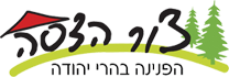 logo צור הדסה